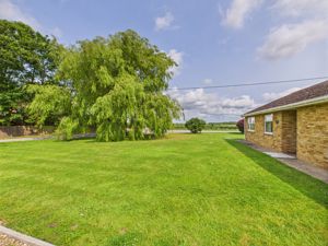 Front garden- click for photo gallery